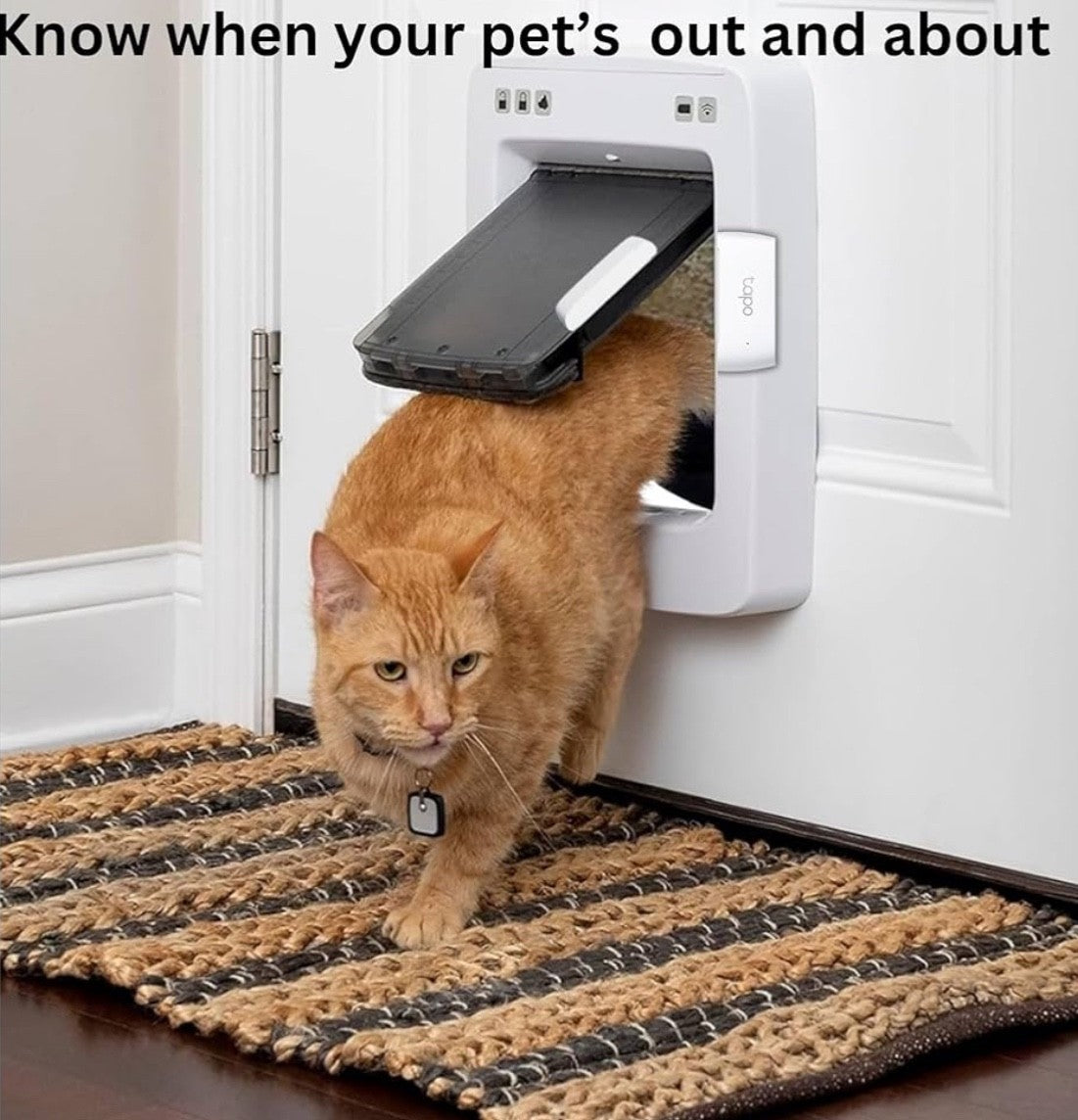 Tapo T110 Smart Door Alarm, Window Door Alarm Sensor with Real-Time Monitoring,