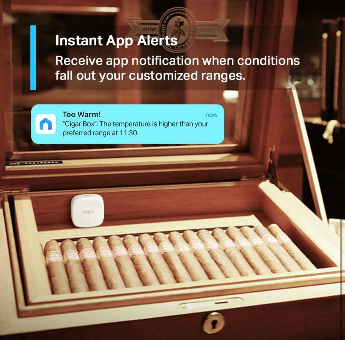 Tapo T310 Smart Hygrometer - Humidity & Temp Monitor with App Alerts, 2YR Data